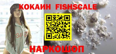 индика Гусев