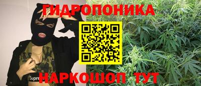 индика Гусев