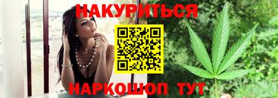 индика Гусев