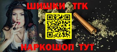индика Гусев