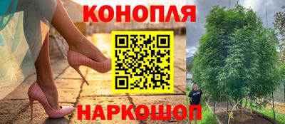 гидропоника Гусиноозёрск