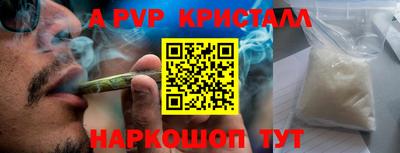 шишки Лесосибирск
